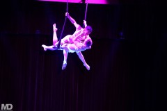 biggaycircus4-4-114