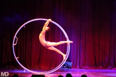 biggaycircus4-4-1793