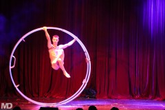 biggaycircus4-4-1797