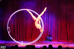 biggaycircus4-4-1803