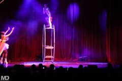 biggaycircus4-4-1835