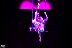 biggaycircus4-4-2499