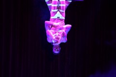 biggaycircus4-4-2522