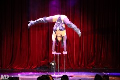 biggaycircus4-4-2541
