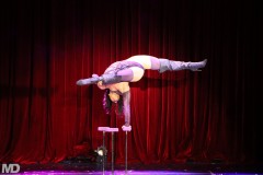 biggaycircus4-4-2579