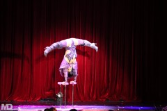 biggaycircus4-4-850