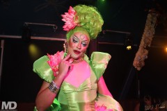 bigtopsundays11-2-630