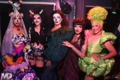 bigtopsundays11-2-875