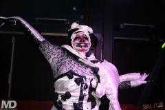bigtop4-20-512