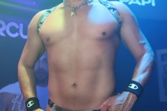 circuitpapi1-30-122