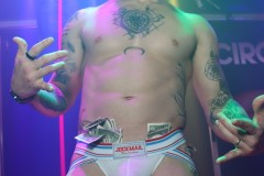 circuitpapi1-30-138
