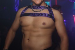 circuitpapi1-30-154