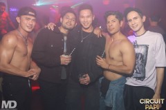 circuitpapi1-31-20