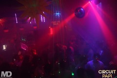 circuitpapi1-31-282