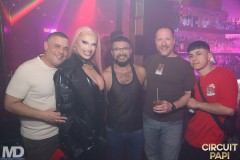 circuitpapi10-10-165