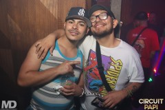 circuitpapi10-10-177