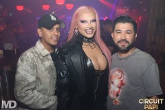 circuitpapi10-10-207