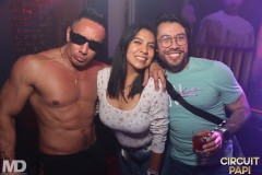 circuitpapi10-10-226