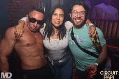 circuitpapi10-10-227