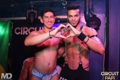 circuitpapi11-21-173