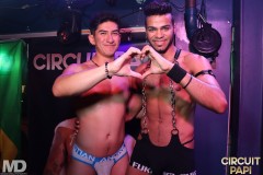 circuitpapi11-21-175