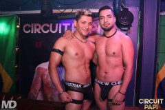 circuitpapi11-21-198