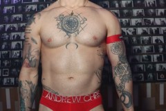 circuitpapi11-21-214