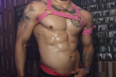 circuitpapi11-21-315