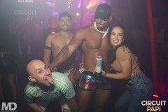 circuitpapi11-21-344