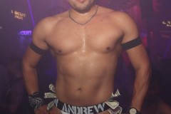 circuitpapi11-21-375