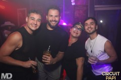 circuitpapi11-21-391