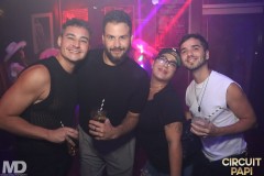 circuitpapi11-21-393