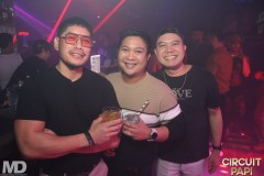 circuitpapi11-21-395