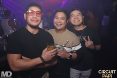 circuitpapi11-21-397