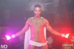 circuitpapi11-21-431