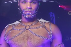 circuitpapi11-21-433