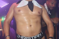 circuitpapi11-21-454