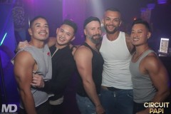 circuitpapi11-21-460