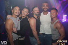 circuitpapi11-21-463