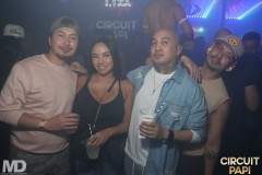 circuitpapi11-21-465