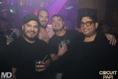 circuitpapi11-21-472