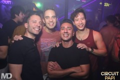 circuitpapi11-21-484