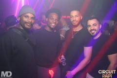 circuitpapi11-21-486