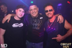 circuitpapi11-22-201