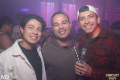 circuitpapi12-20-167