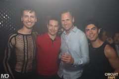 circuitpapi12-20-196