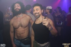 circuitpapi12-20-211