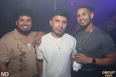 circuitpapi12-20-229