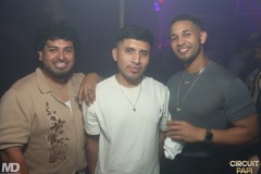 circuitpapi12-20-231