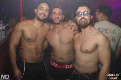 circuitpapi12-20-232